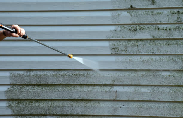 Best Fence Cleaning  in Clinton, TN